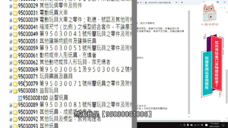 9503008100 益智玩具的稅則
