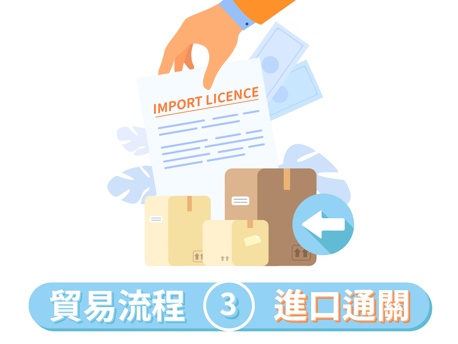 import-licence