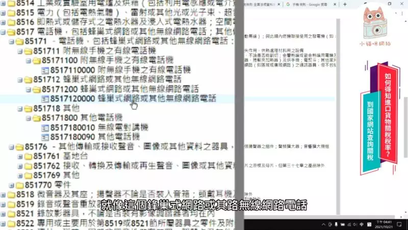 8517120000 蜂巢式網路或其他無線網路電話
的稅則