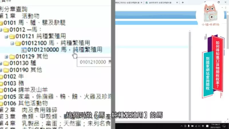 0101210000 馬,的純種繁殖用的稅則